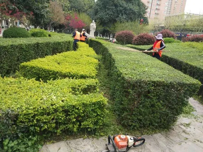 建德青浦绿化和市容管理局